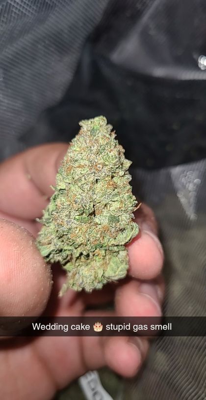 ecoticza OnlyFans picture