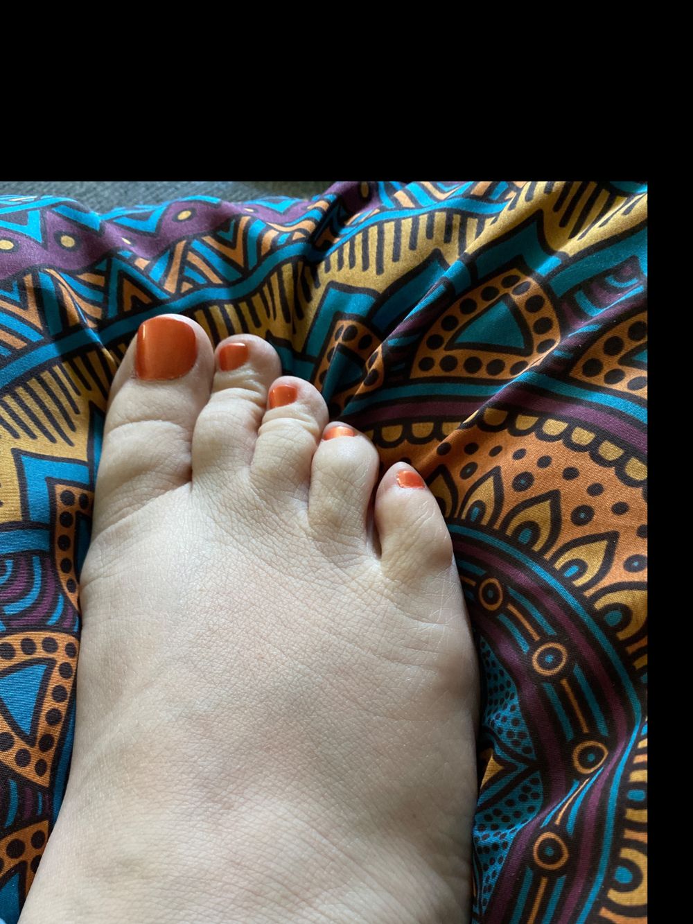 misspiggycutes OnlyFans profile picture