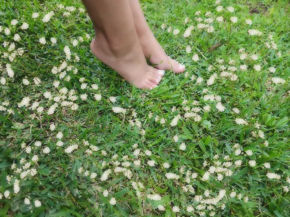 kmisfeet OnlyFans profile picture