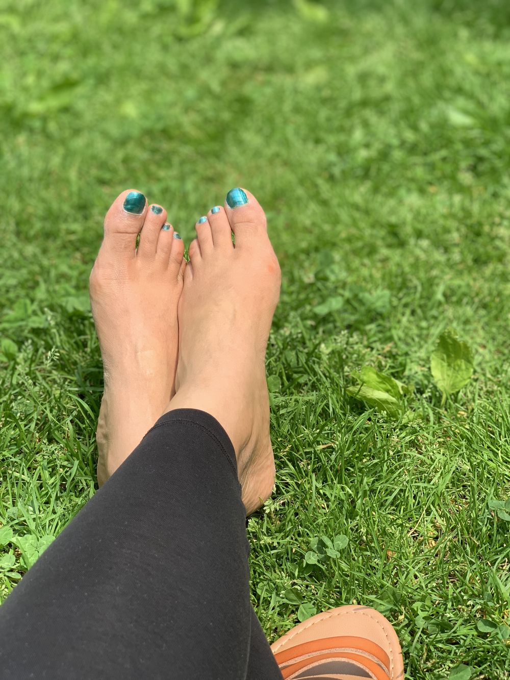 legs.heels.toes OnlyFans profile picture