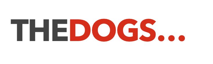 thedogsbolloxxl OnlyFans profile picture