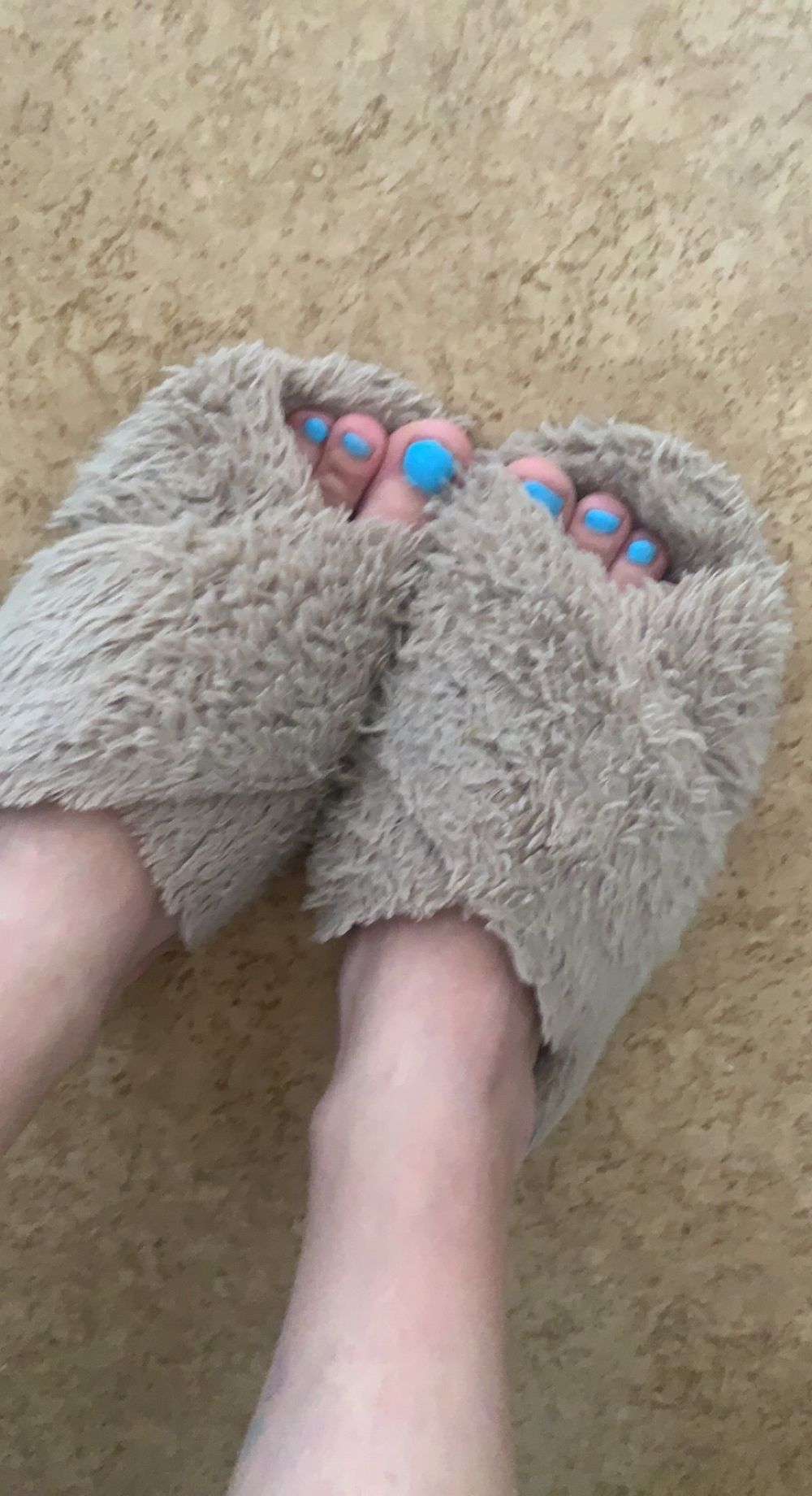u269916271 OnlyFans profile picture