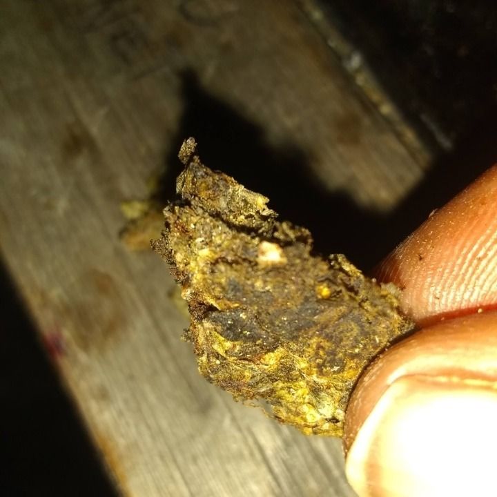 uglystick OnlyFans profile picture