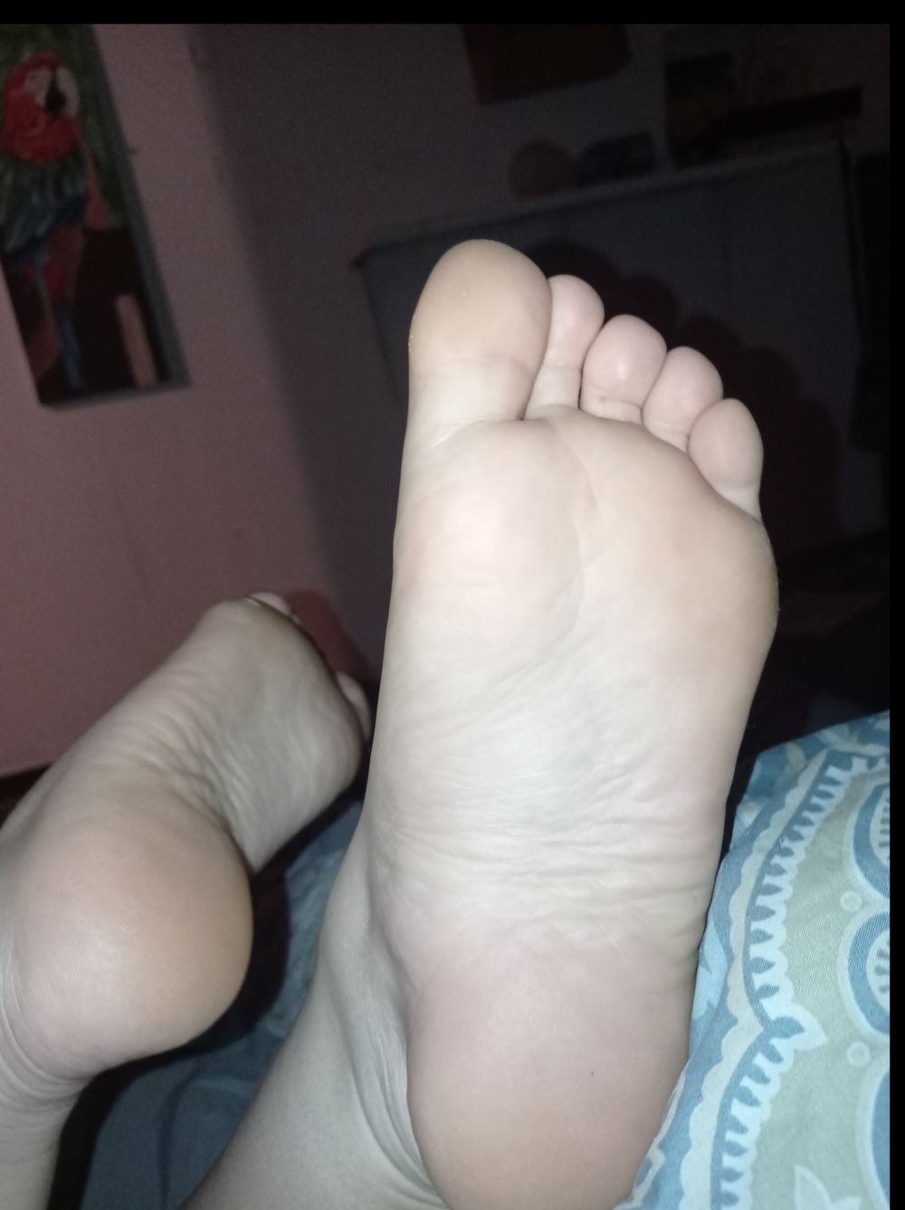 redhead_pies OnlyFans profile picture