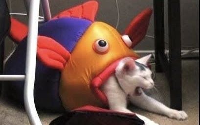 michaelya OnlyFans profile picture