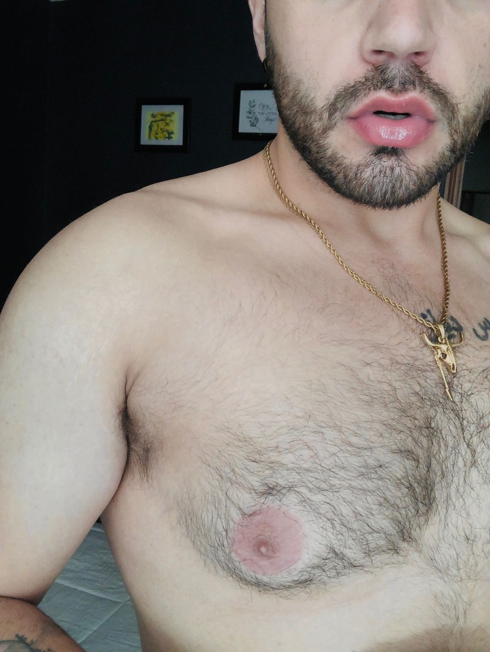 papucchiin OnlyFans profile picture