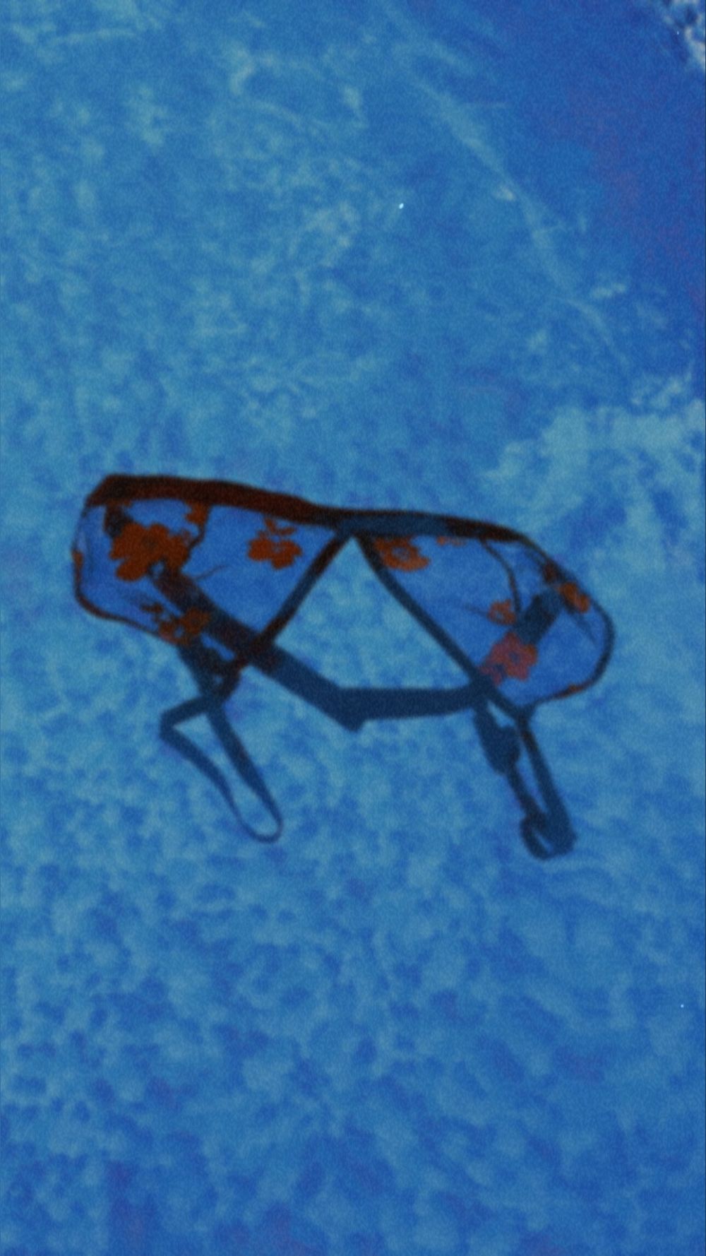forbiddnfruits OnlyFans profile picture