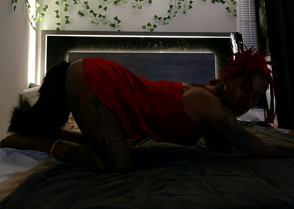 onaikiyaya OnlyFans profile picture