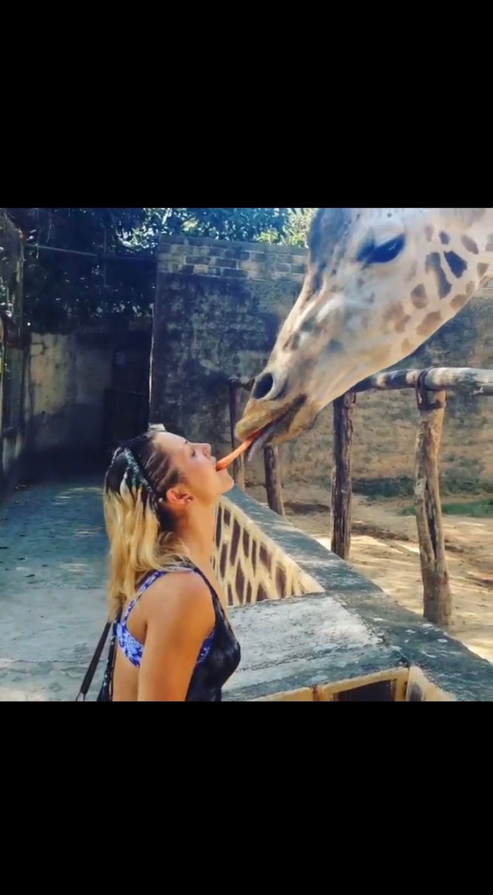 haileepittner OnlyFans profile picture