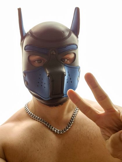 puppbolt OnlyFans picture