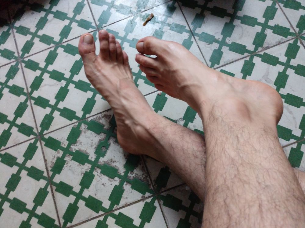 elreychivo3x OnlyFans profile picture