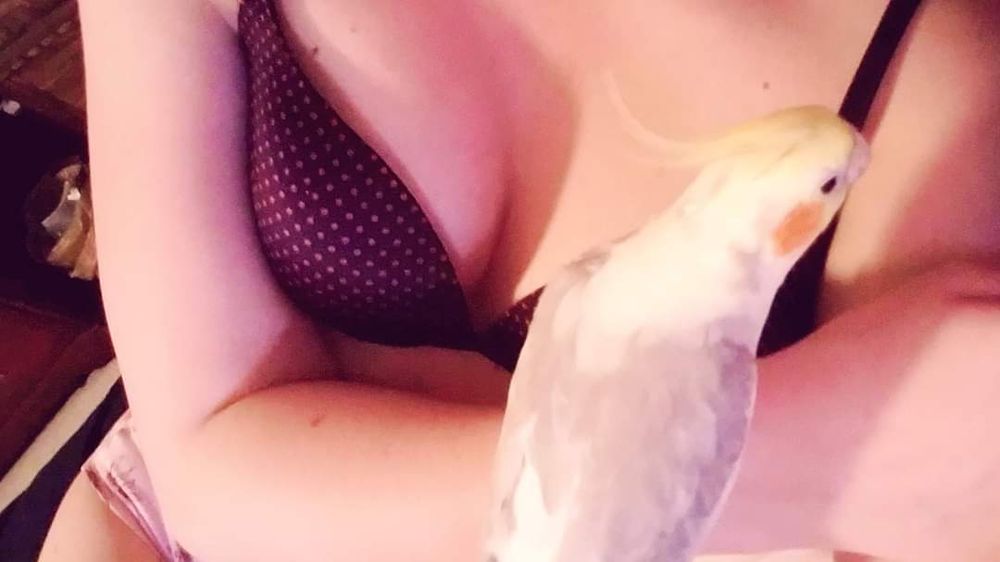 valeriestardust OnlyFans profile picture