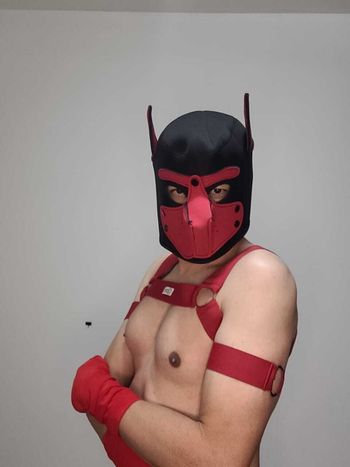 dogaobibr OnlyFans profile picture