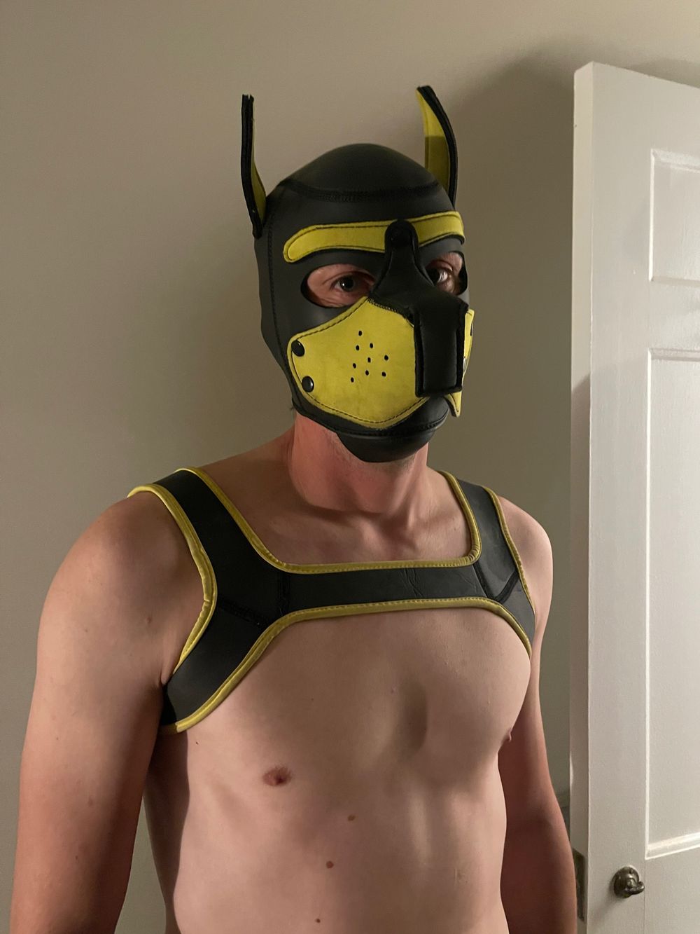 furrypupp OnlyFans profile picture