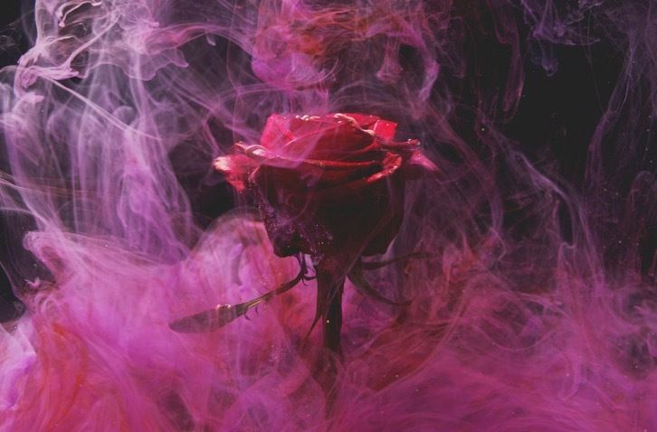 anw04 OnlyFans profile picture