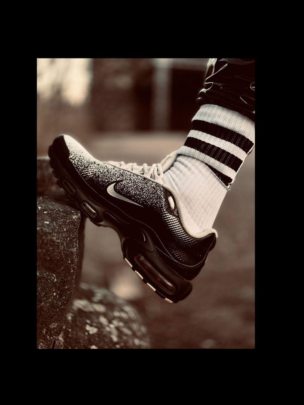 sneakerfreak1490 OnlyFans profile picture