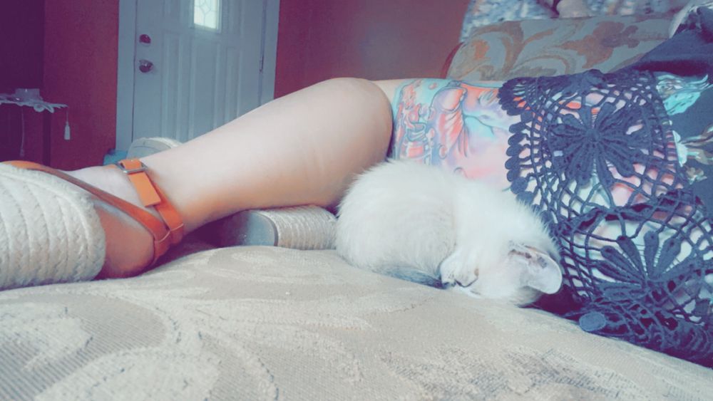 jenibae88 OnlyFans profile picture