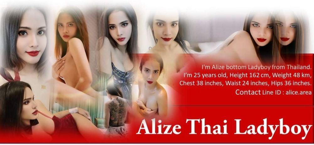 alizethailadyboy OnlyFans profile picture