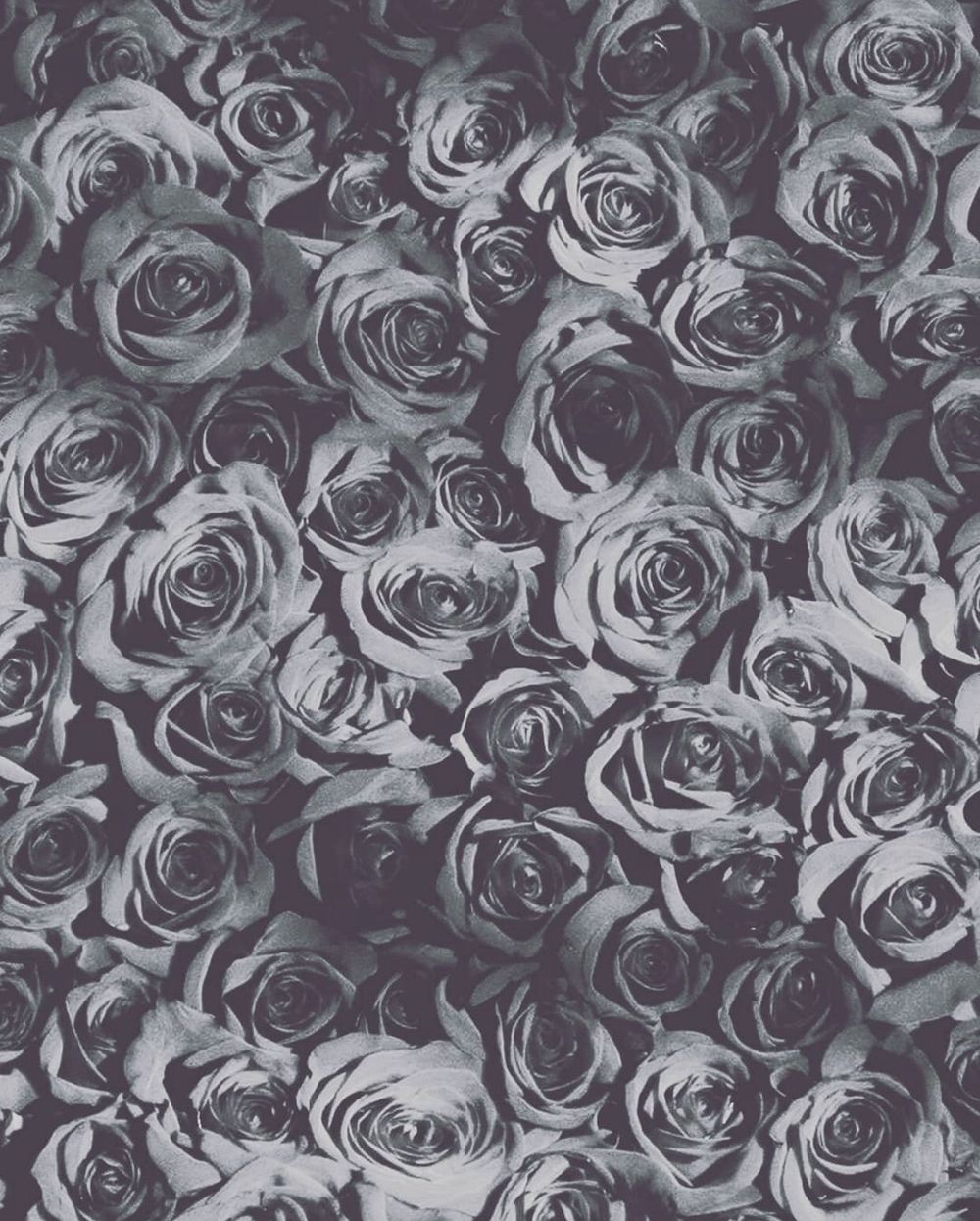 vlunavalentine OnlyFans profile picture