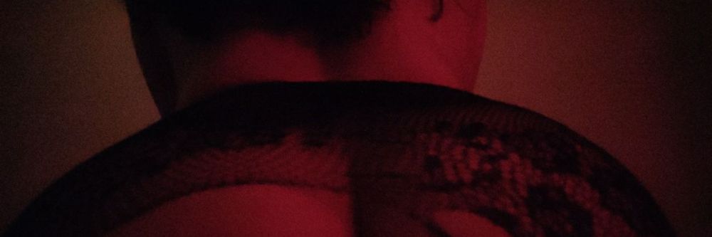 notnastybambi OnlyFans profile picture