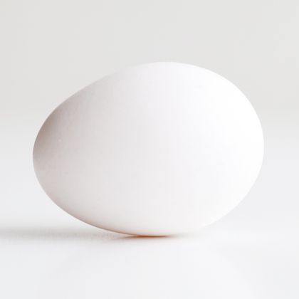 an_egg OnlyFans picture