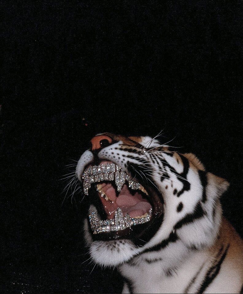 diggherguts OnlyFans profile picture
