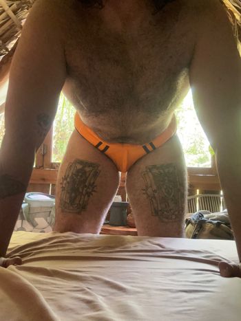 Salvadorean Bear