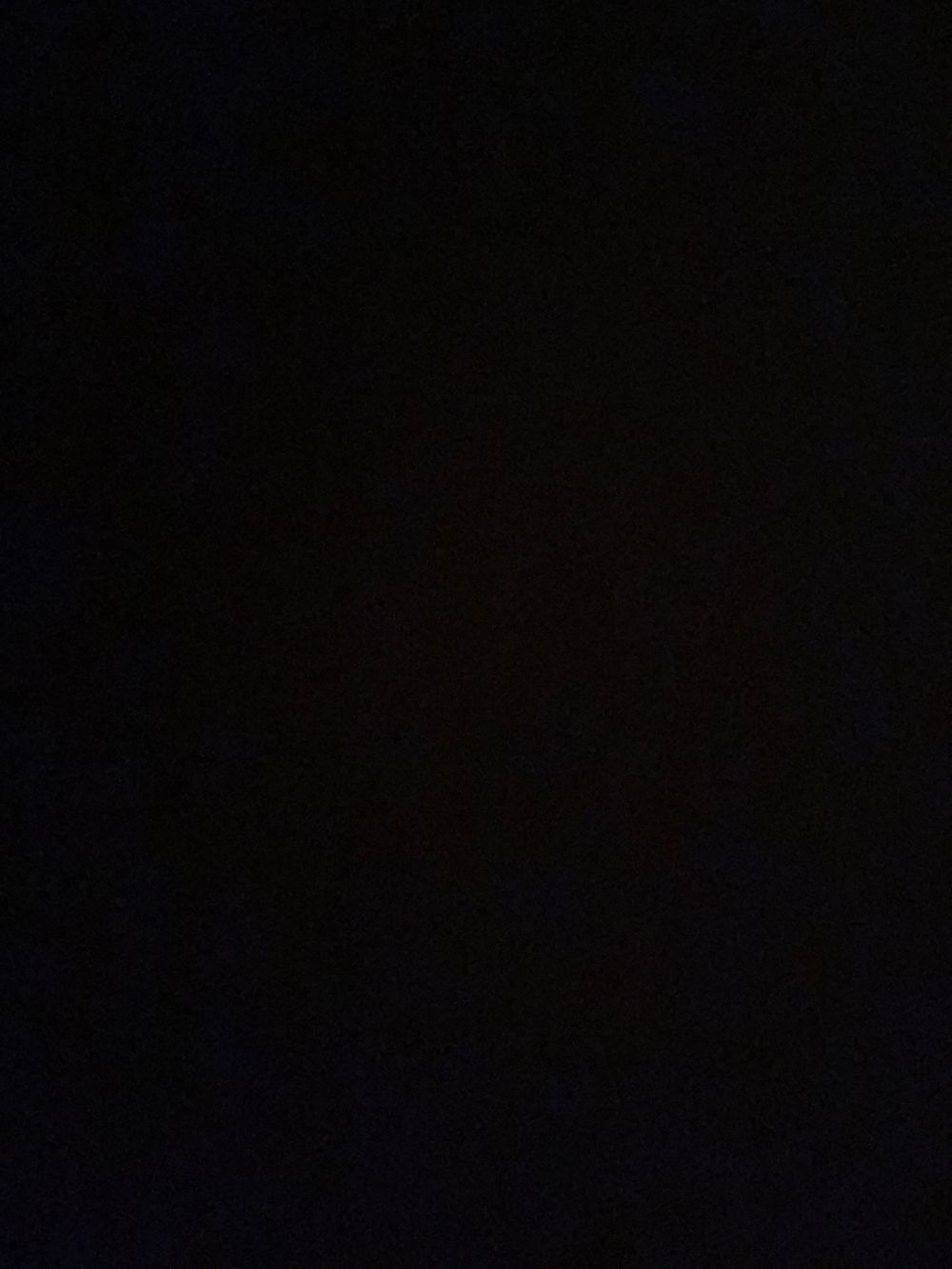 iiluvvbellzz OnlyFans profile picture