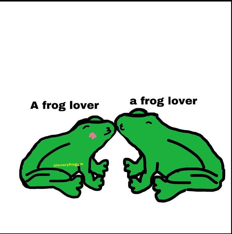 frogsarestoners OnlyFans profile picture