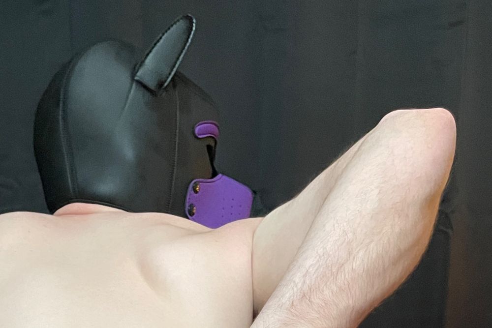 gayhorrnypups OnlyFans profile picture
