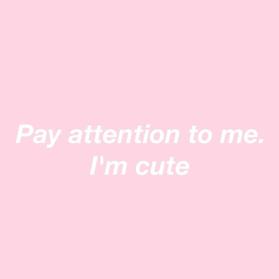 crybabibunnie OnlyFans profile picture