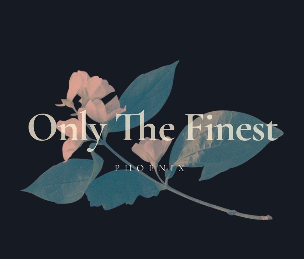 onlythefinestmedia OnlyFans profile picture
