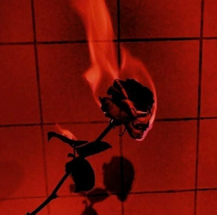 qutiewithabooty OnlyFans profile picture