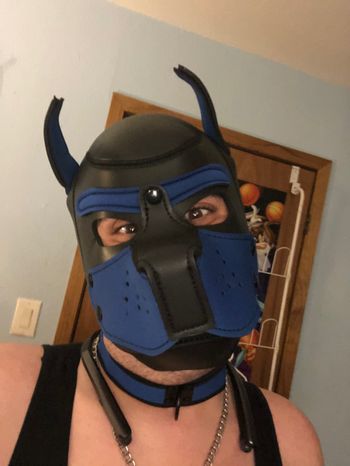 Pup SparkeyDean