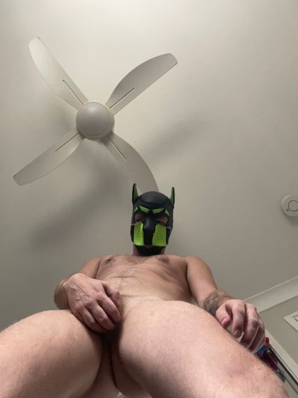 brissy-ffag0t OnlyFans picture