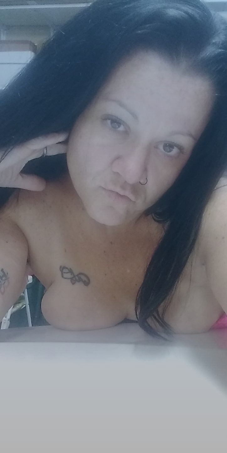 shystables1996 OnlyFans profile picture