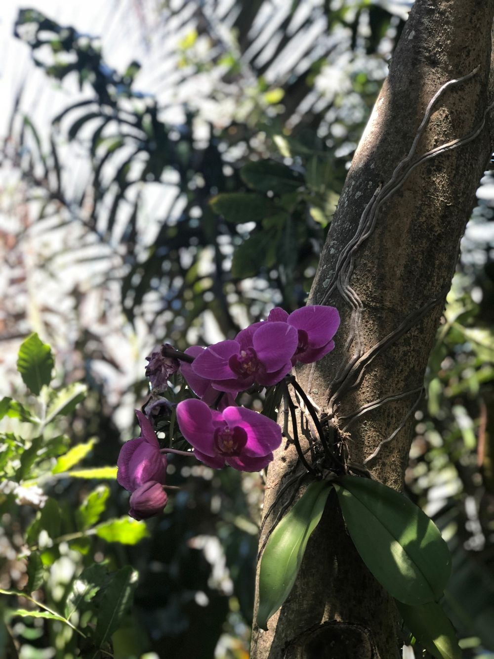 jeff2922 OnlyFans profile picture