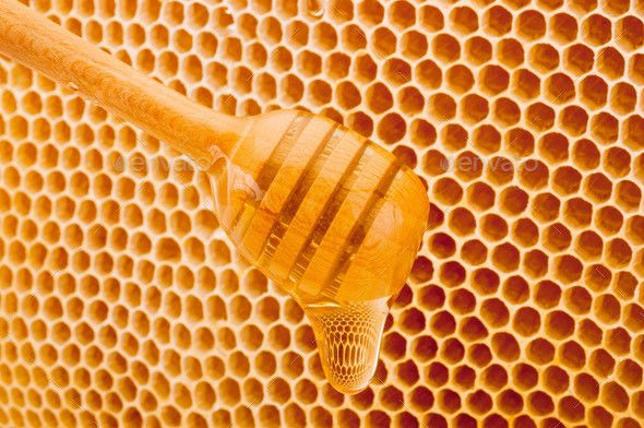 honeypot_bee OnlyFans profile picture
