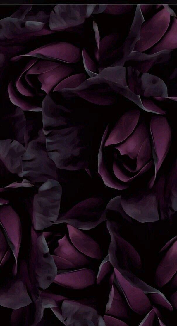 vidvandarkbloom OnlyFans profile picture