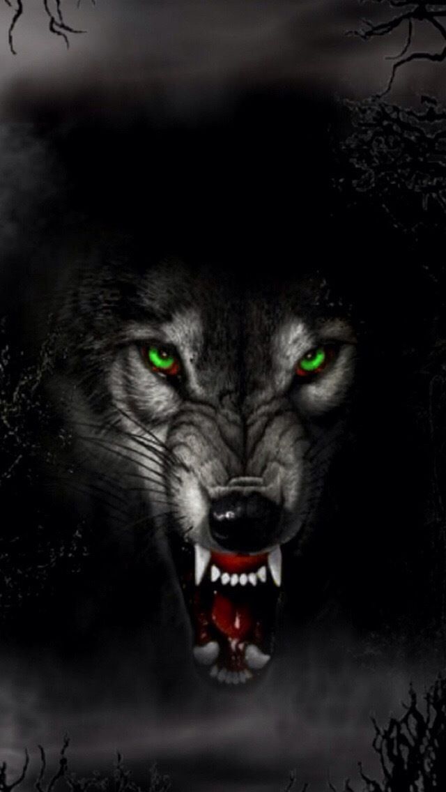 alpha_nova OnlyFans profile picture