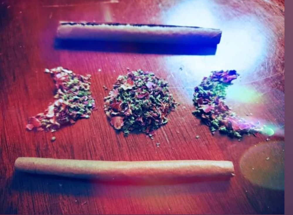 miss.sativa425 OnlyFans profile picture