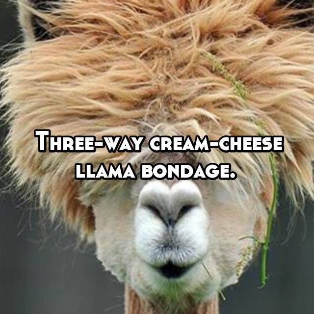dannyllama OnlyFans profile picture