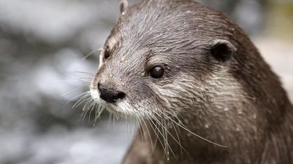 monto_o OnlyFans picture