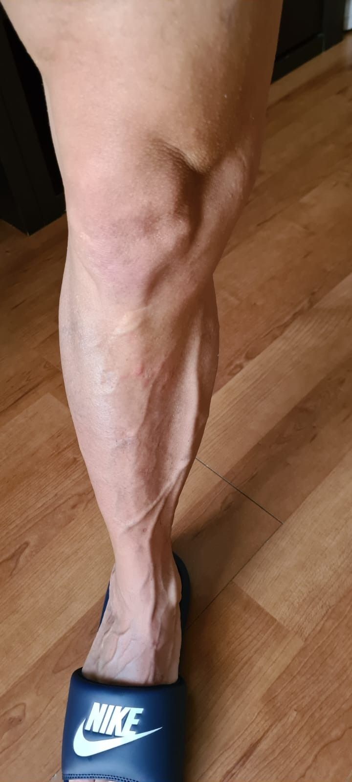 chaniidaviid OnlyFans profile picture