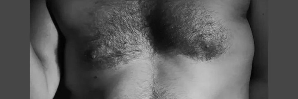 willybearhot24 OnlyFans profile picture