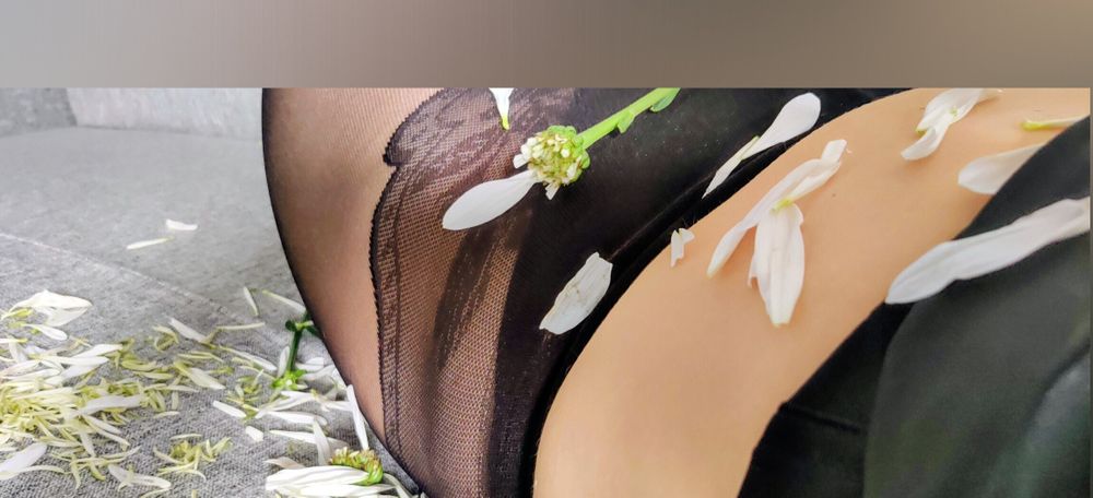vanillathevixen OnlyFans profile picture