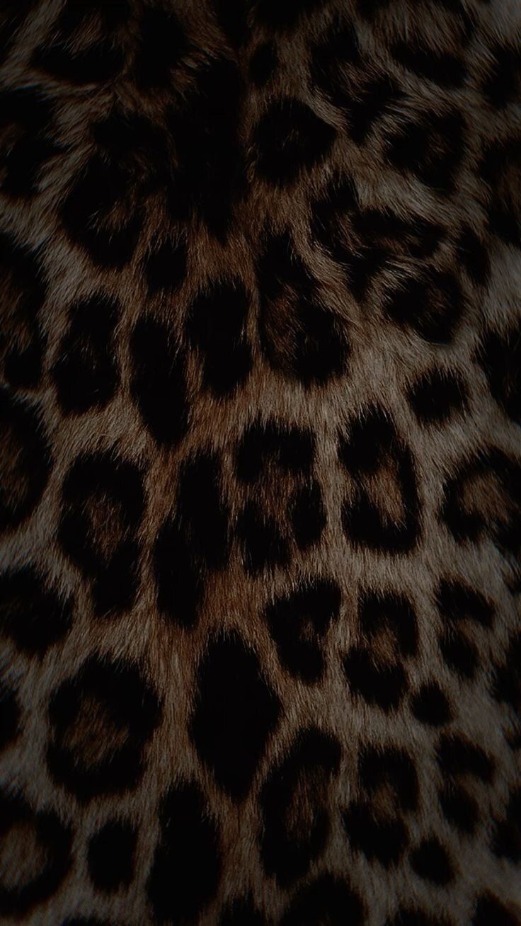 aprilvxnxo OnlyFans profile picture