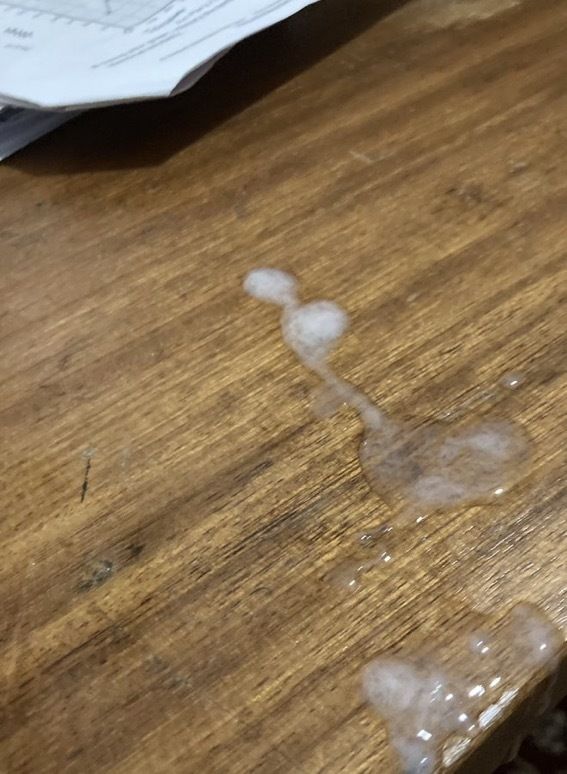 sean_w00ds OnlyFans profile picture
