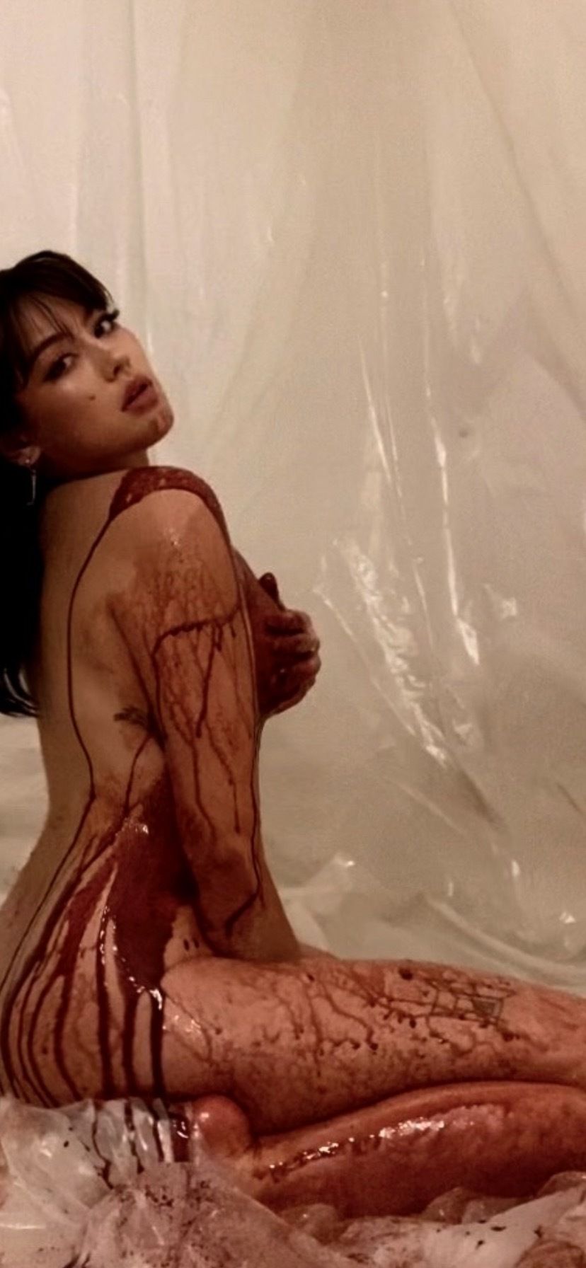 ellaxrose OnlyFans profile picture