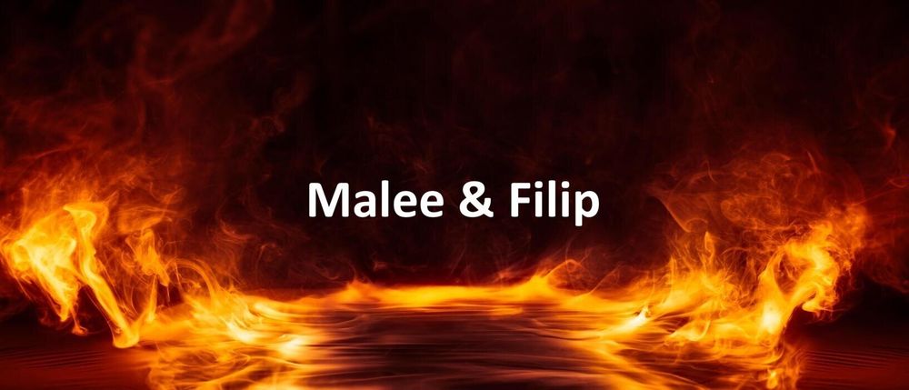 maleeandfilip OnlyFans profile picture